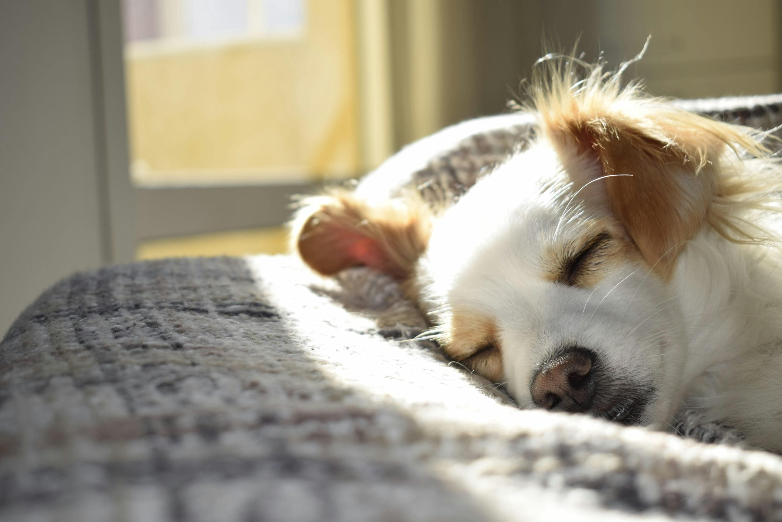 The Astonishing Relationship Between Sleep and Maternal Mental Health