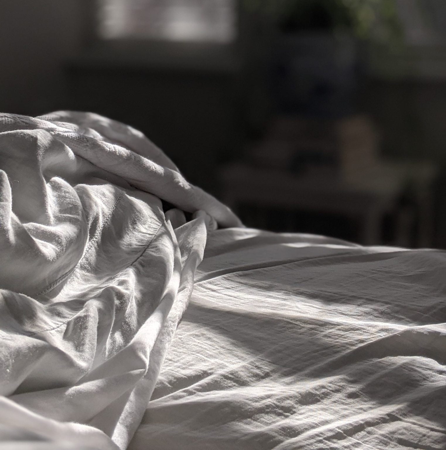 bed sheet